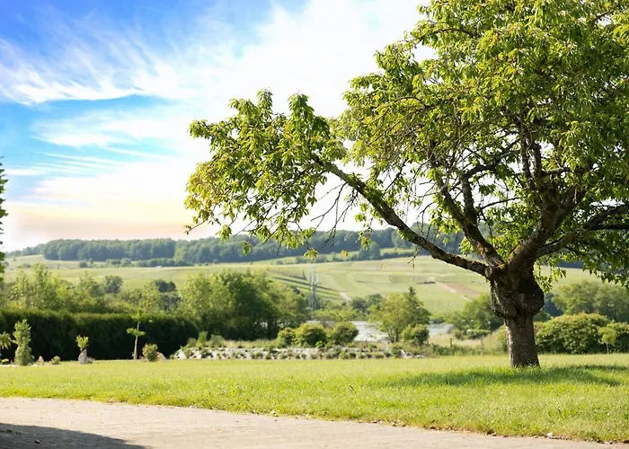 Holiday home L'orchidee *